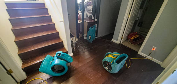 Best Basement water damage restoration  in Hattiesburg, MS