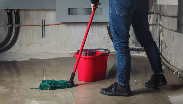 Best Ceiling water damage repair  in Hattiesburg, MS