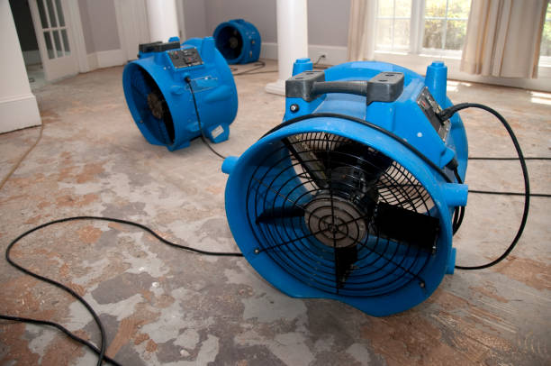  Hattiesburg, MS Water damage restoration Pros