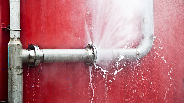Best Flood damage cleanup  in Hattiesburg, MS